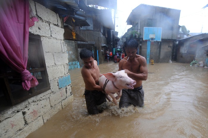 Chạy lụt do ảnh hưởng của bão Nesat gây ra ở thủ đô Malina, Philippinese.